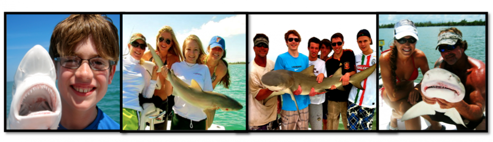 "Shark Fishing in Florida"