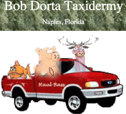 "Bob Dorta Taxidermy"