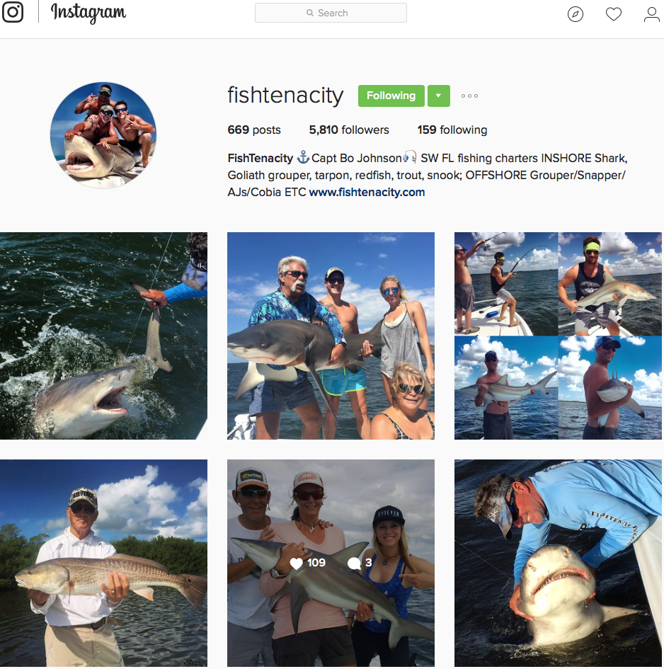 Fish Tenacity Instagram