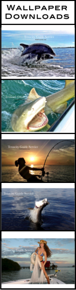 "Tenacity wallpaper downloads"