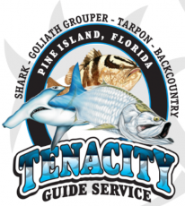 tenacity guide service
